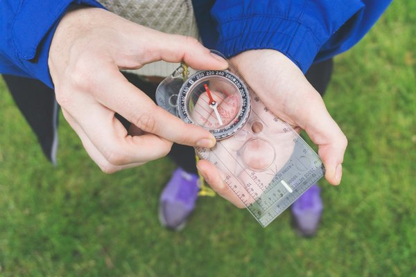 Voyager dans des réserves naturelles : étude des comportements animaliers